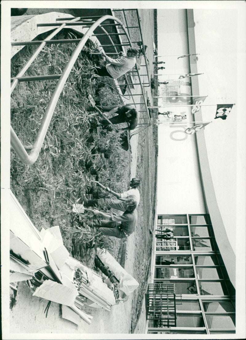 - Vintage Photograph