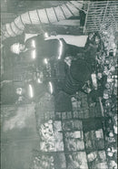 - Vintage Photograph