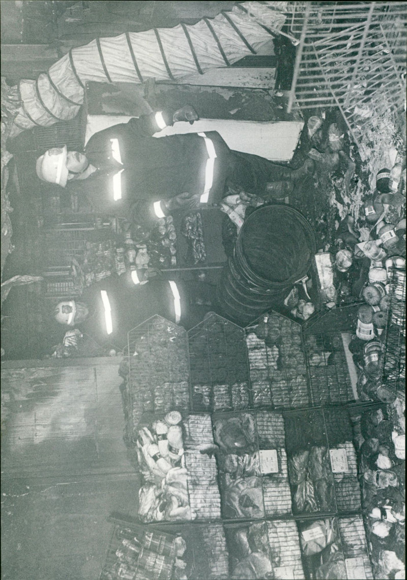 - Vintage Photograph