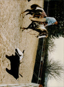 - Vintage Photograph