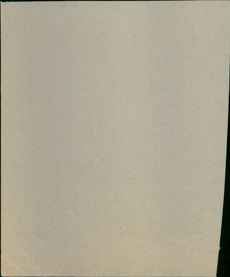 - Vintage Photograph