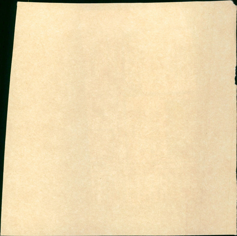 - Vintage Photograph