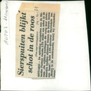 - Vintage Photograph