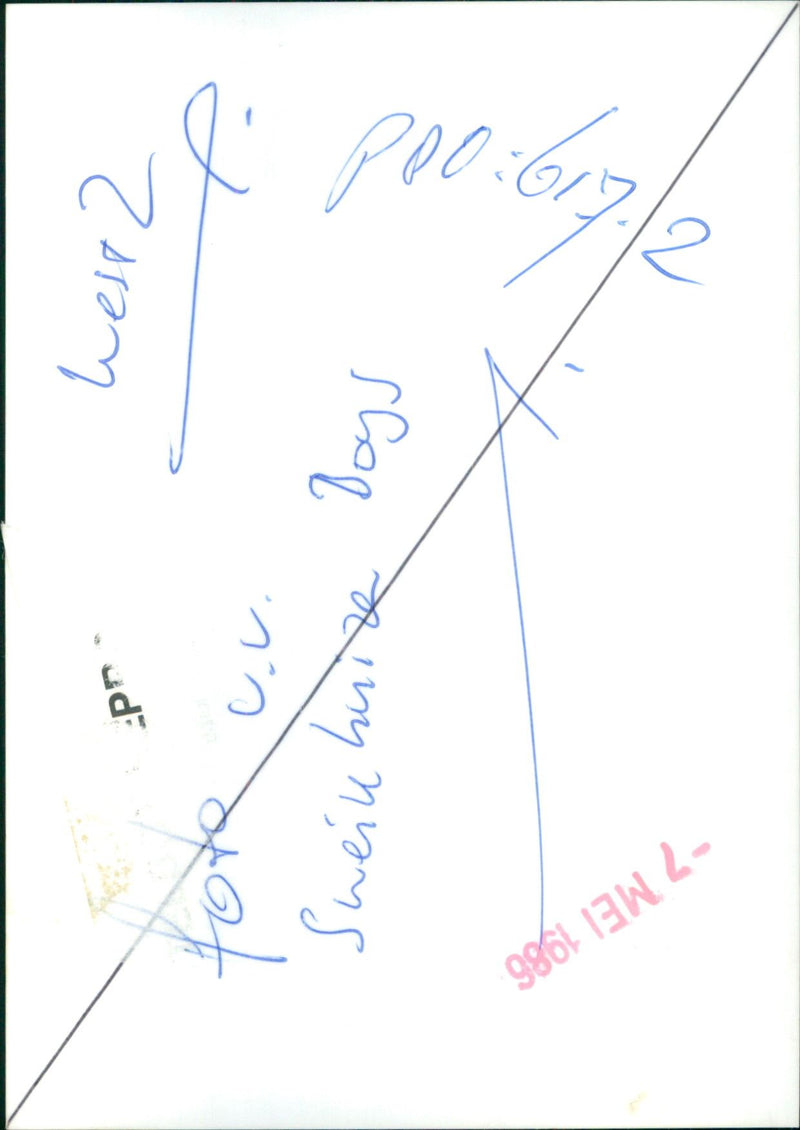 - Vintage Photograph