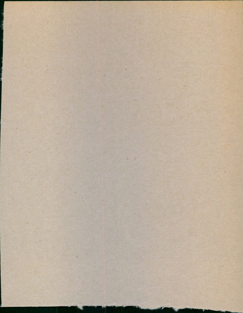 - Vintage Photograph