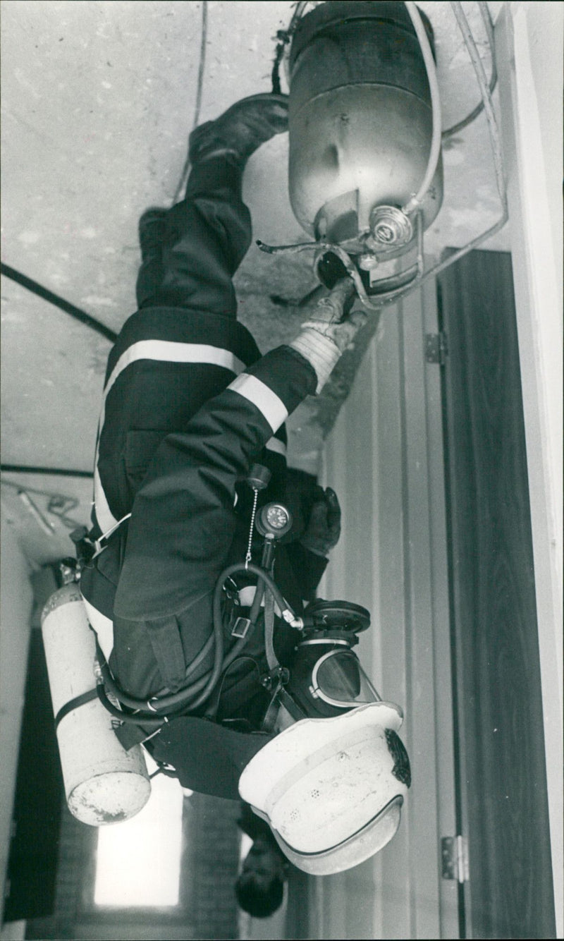 - Vintage Photograph