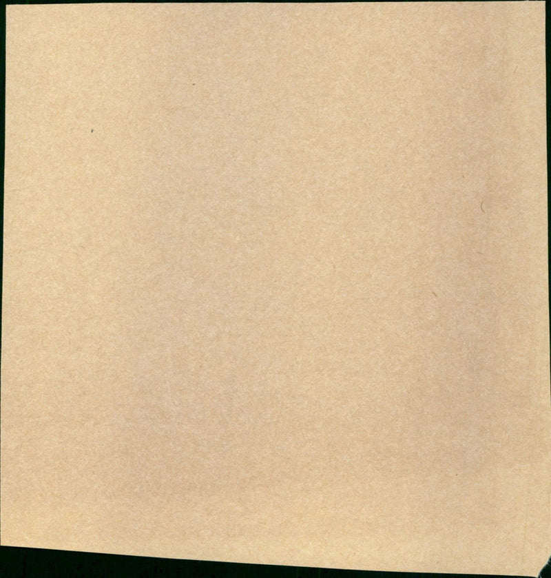 - Vintage Photograph