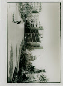 - Vintage Photograph