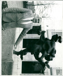 - Vintage Photograph