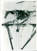 - Vintage Photograph