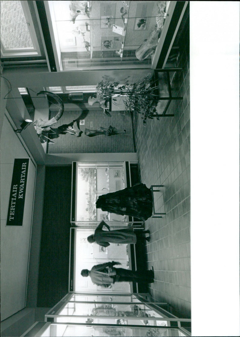 - Vintage Photograph