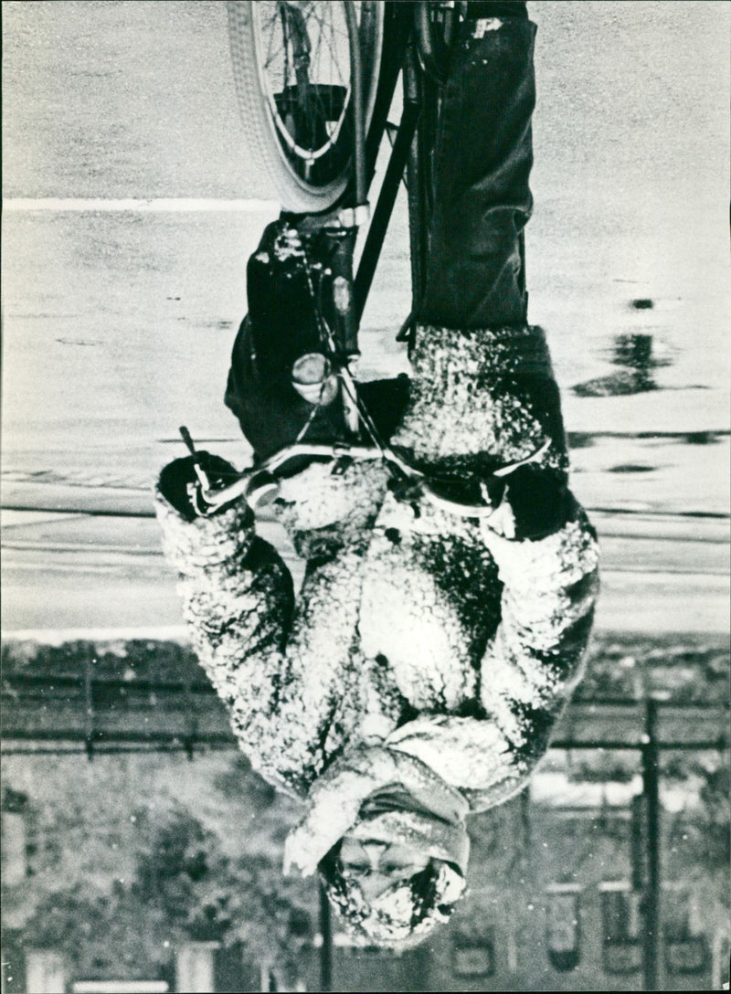 - Vintage Photograph