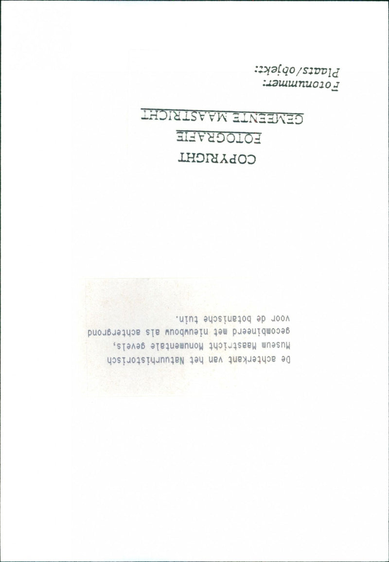 - Vintage Photograph