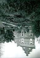 - Vintage Photograph