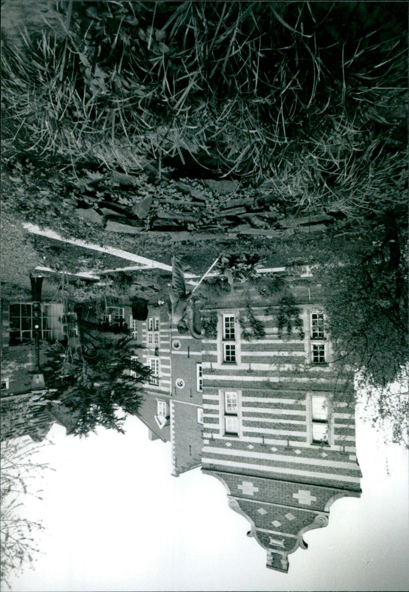 - Vintage Photograph