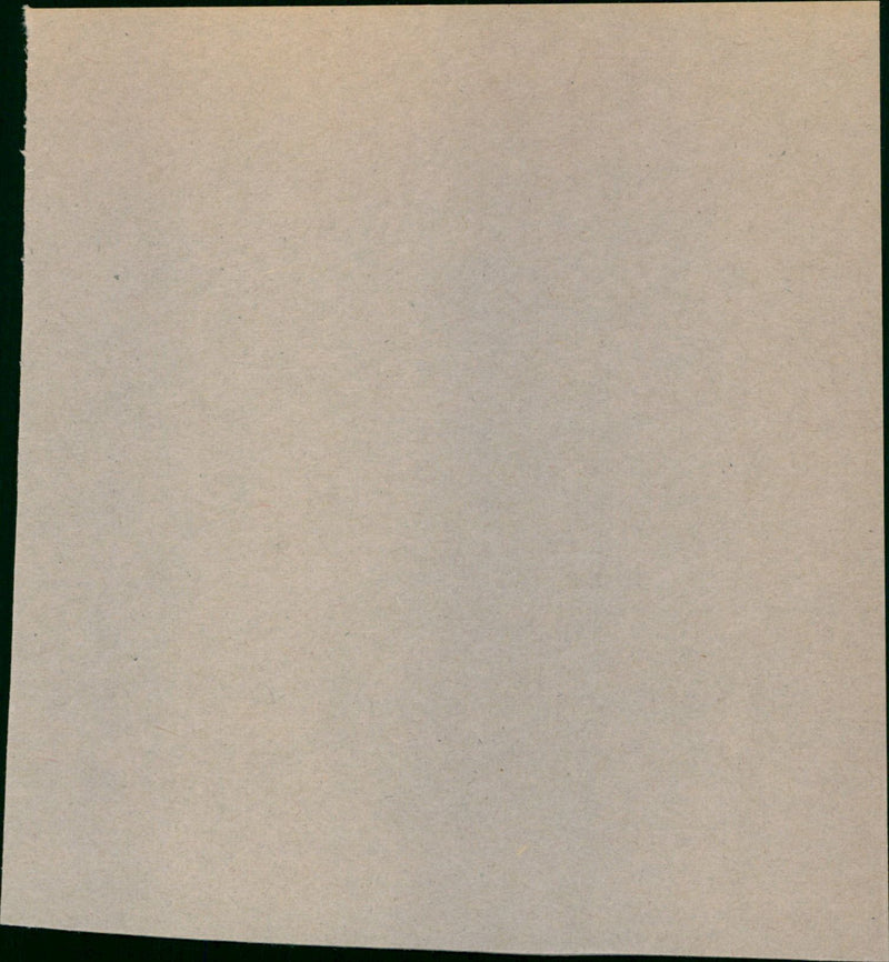 - Vintage Photograph