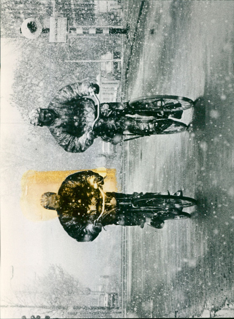 - Vintage Photograph