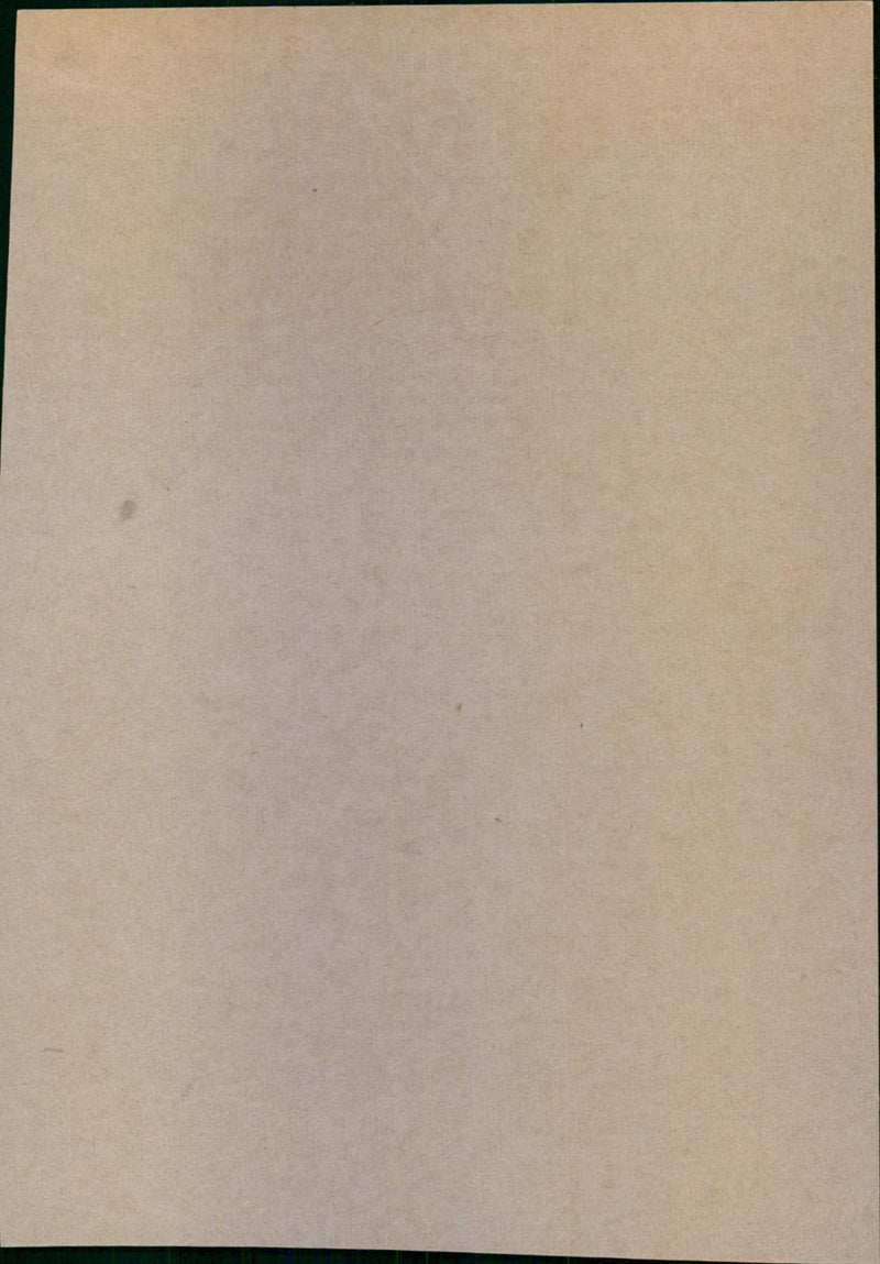 - Vintage Photograph