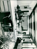 - Vintage Photograph