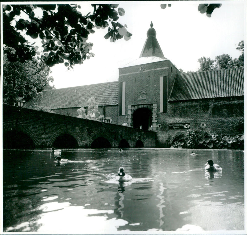 - Vintage Photograph