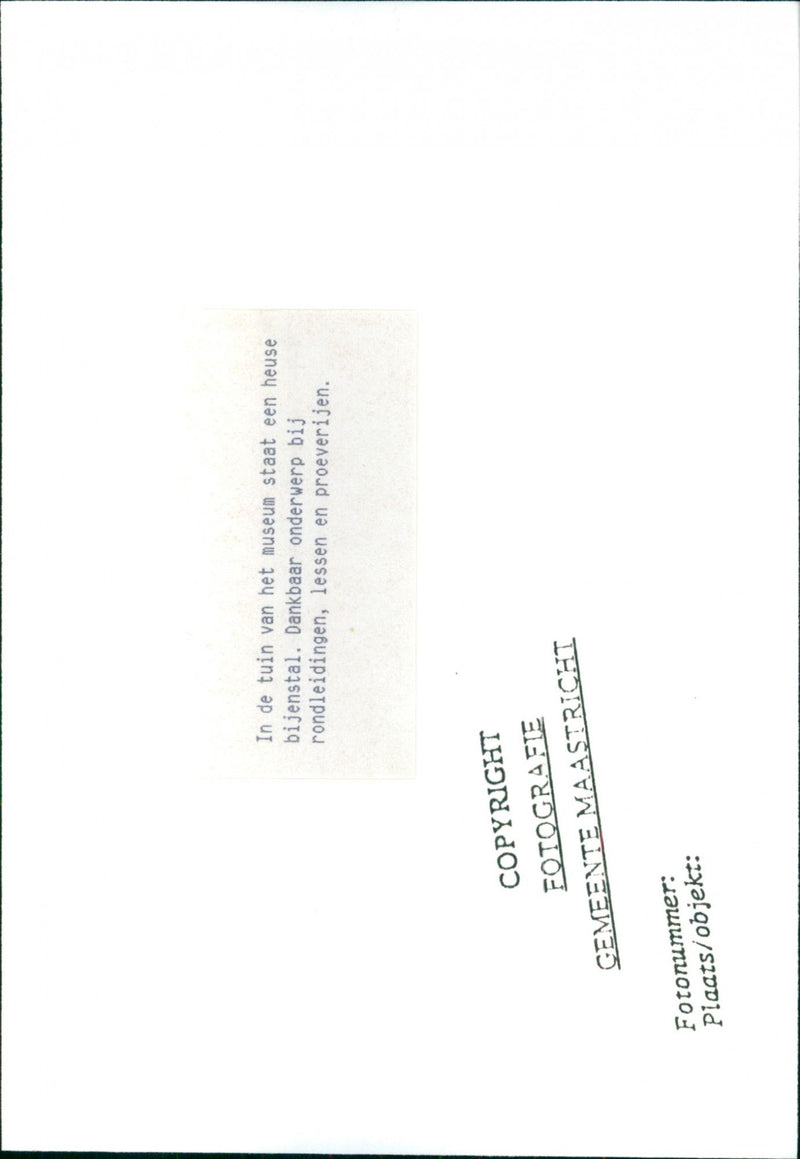 - Vintage Photograph