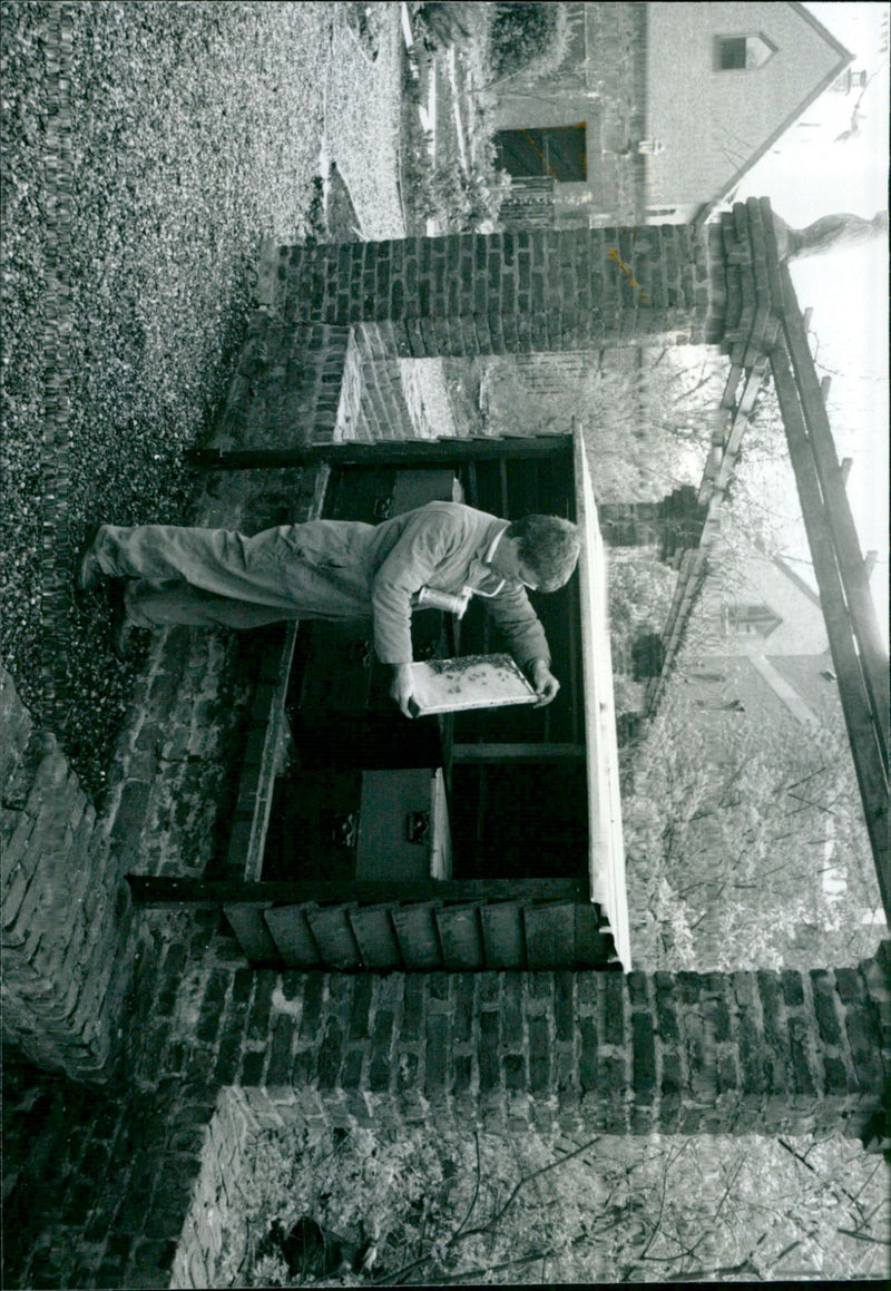 - Vintage Photograph