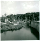 - Vintage Photograph