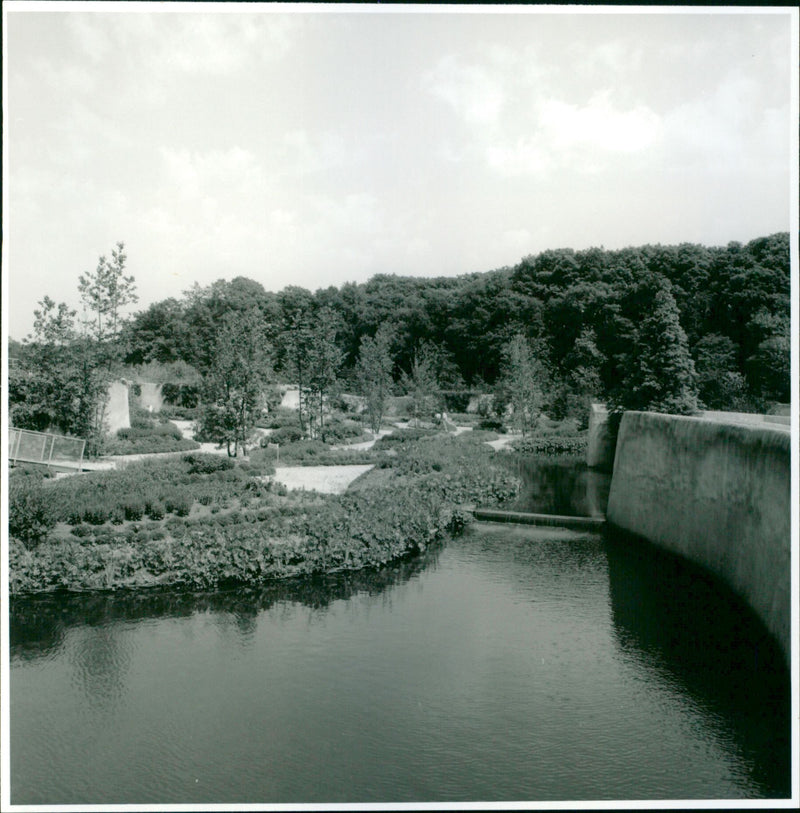 - Vintage Photograph