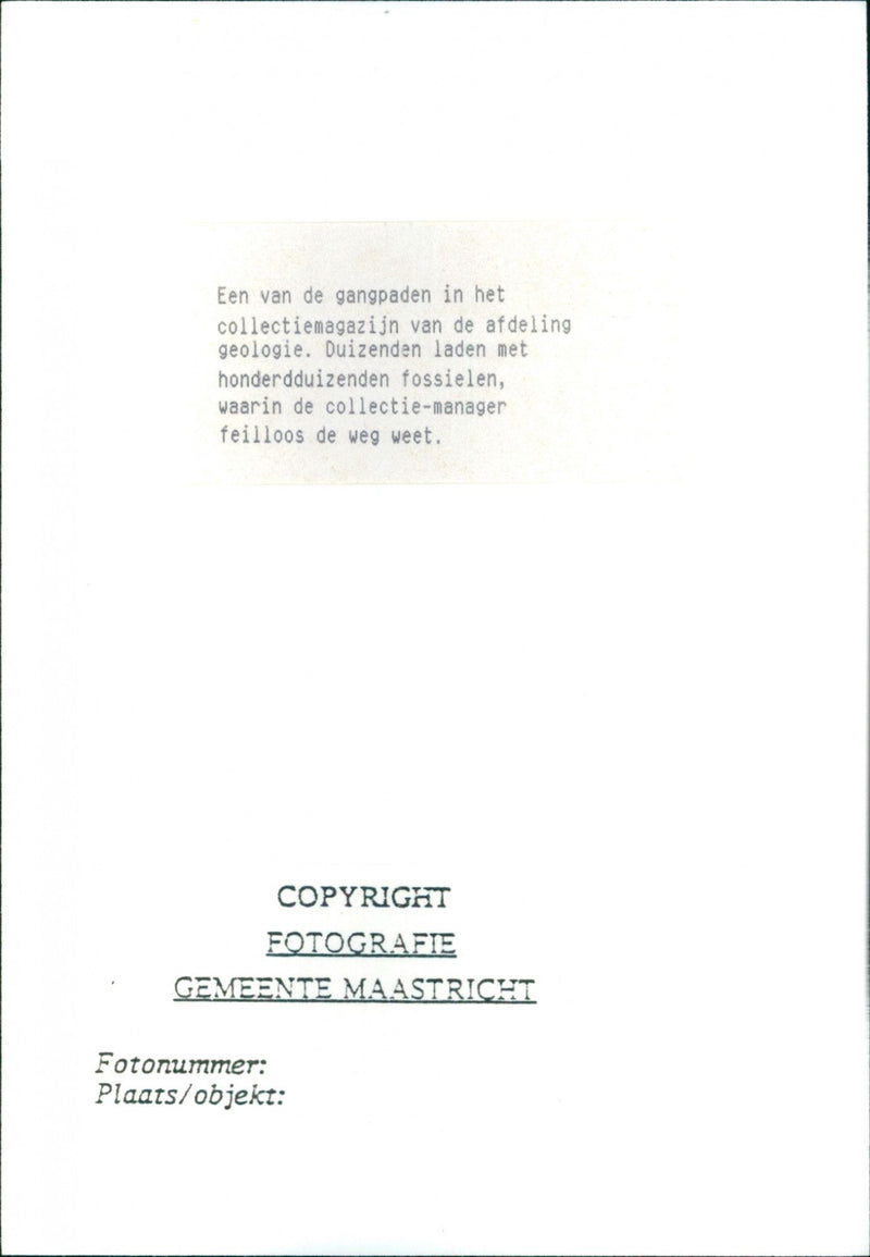 - Vintage Photograph