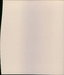 - Vintage Photograph