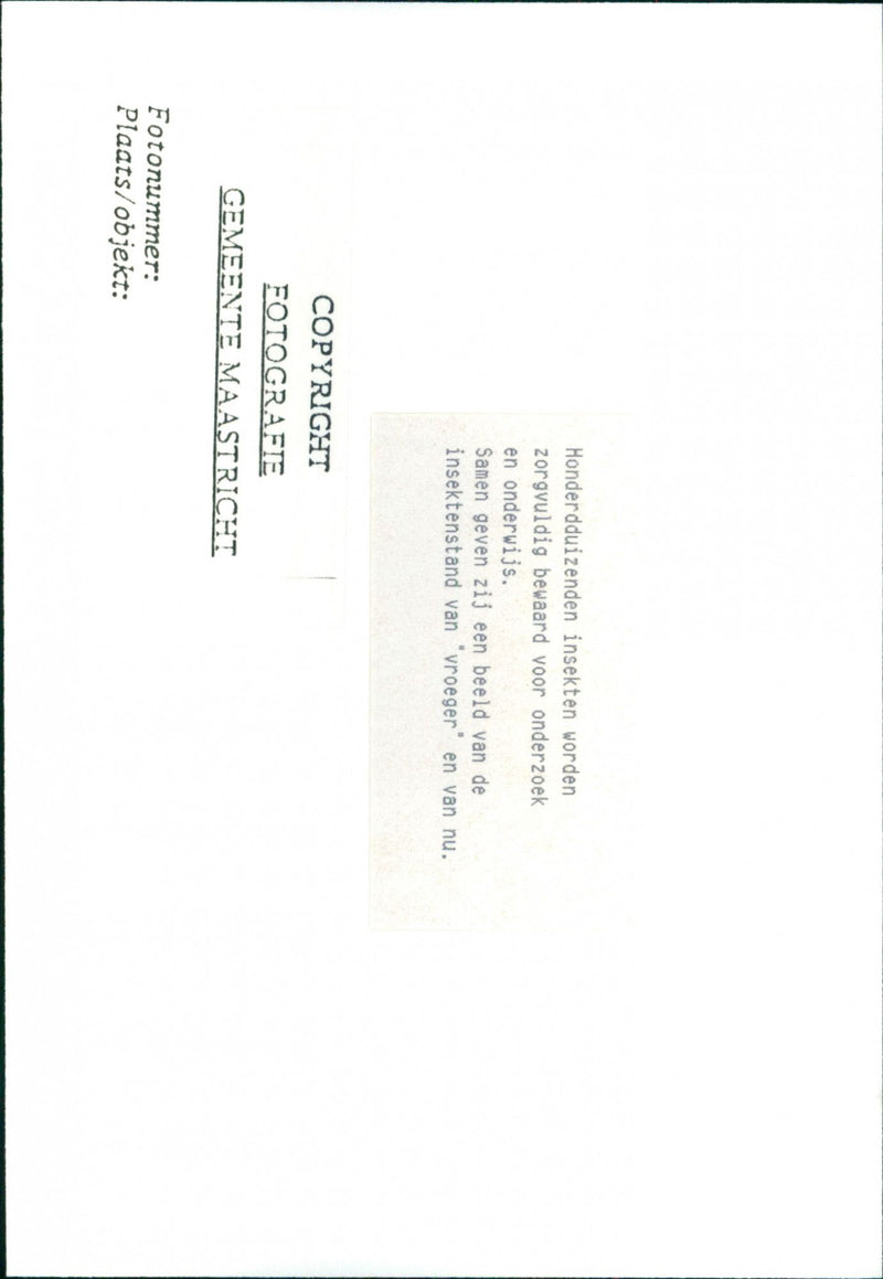 - Vintage Photograph