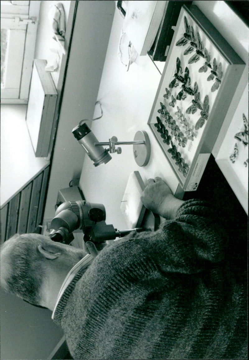 - Vintage Photograph