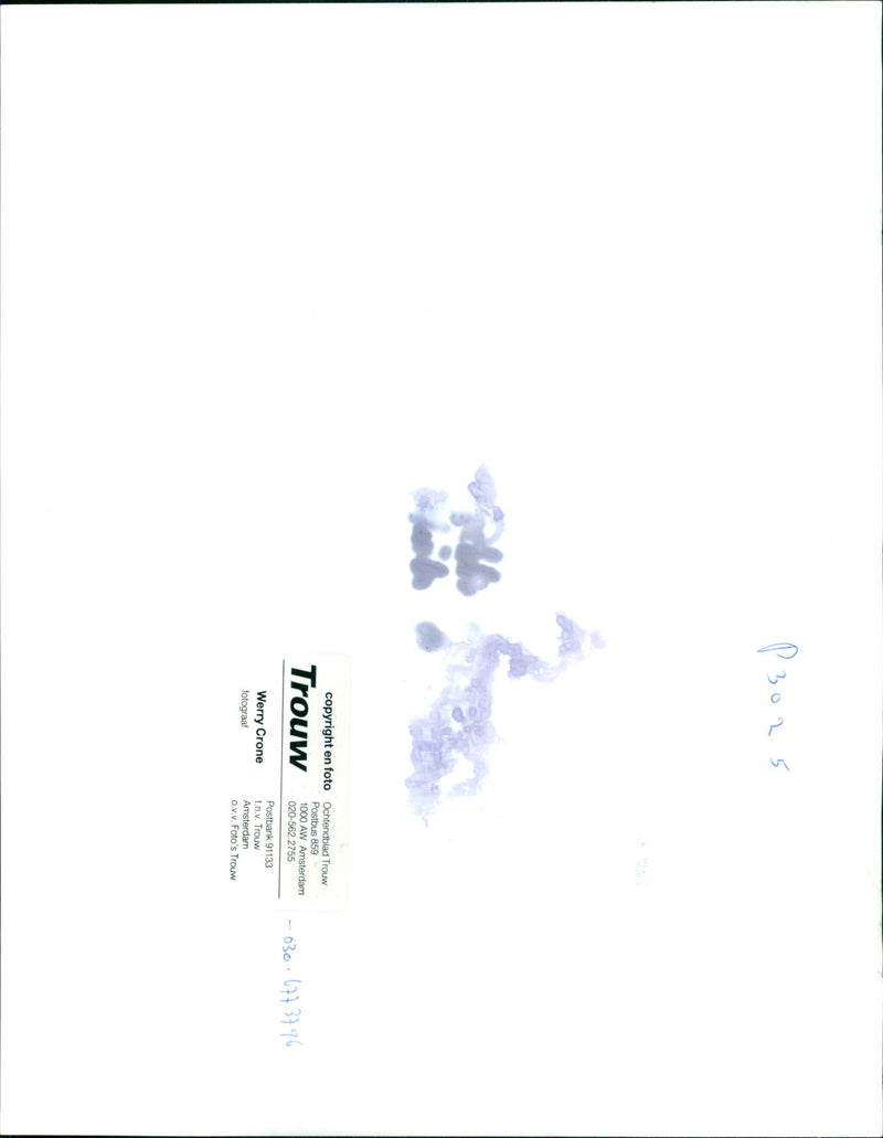 - Vintage Photograph