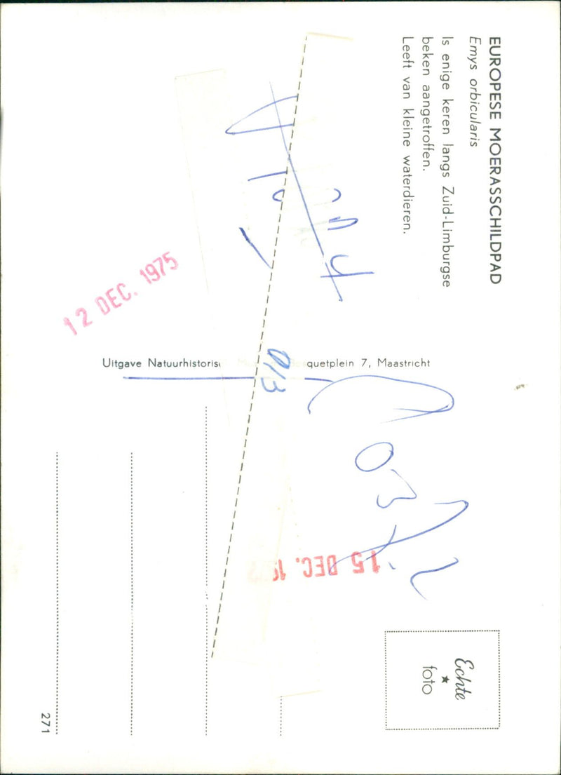 - Vintage Photograph