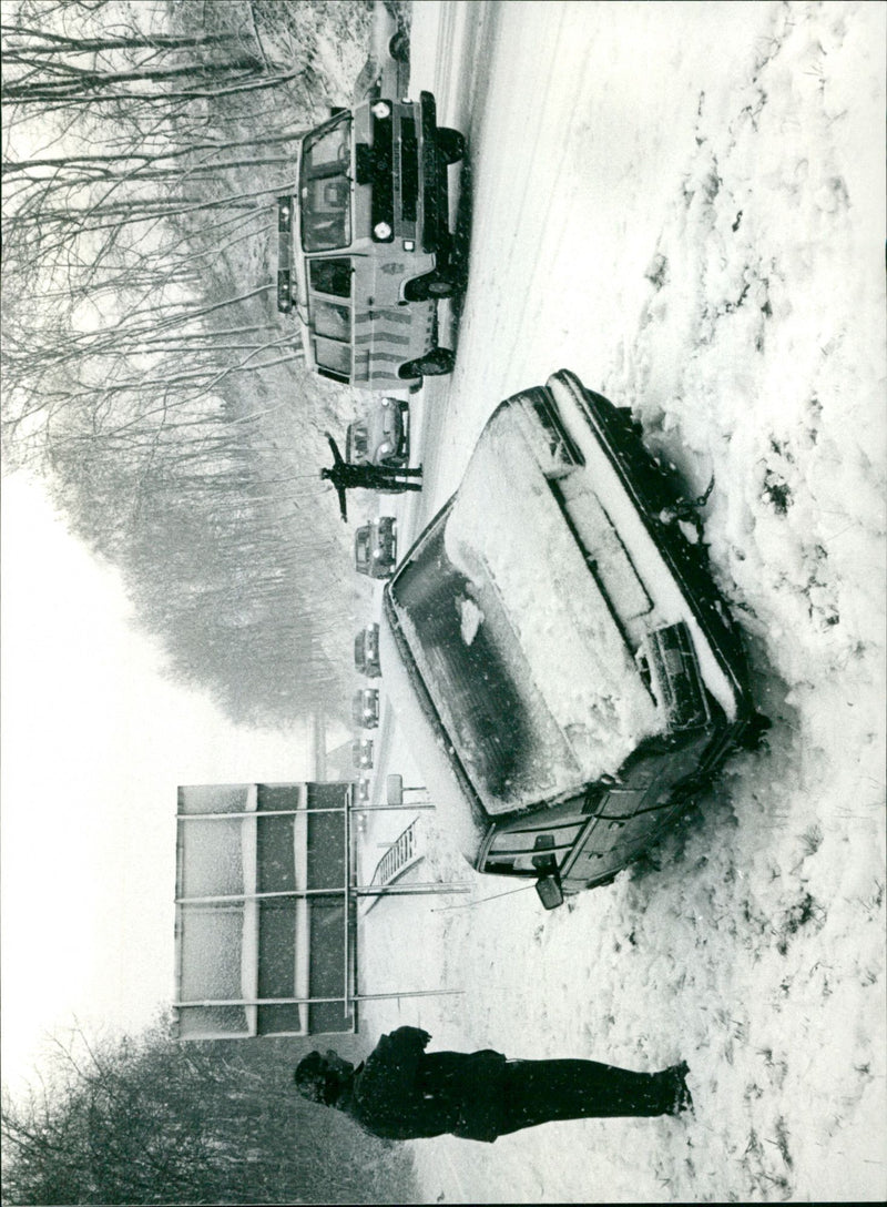 - Vintage Photograph