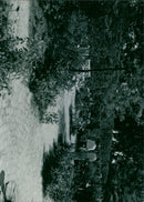 - Vintage Photograph