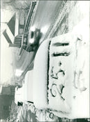 - Vintage Photograph