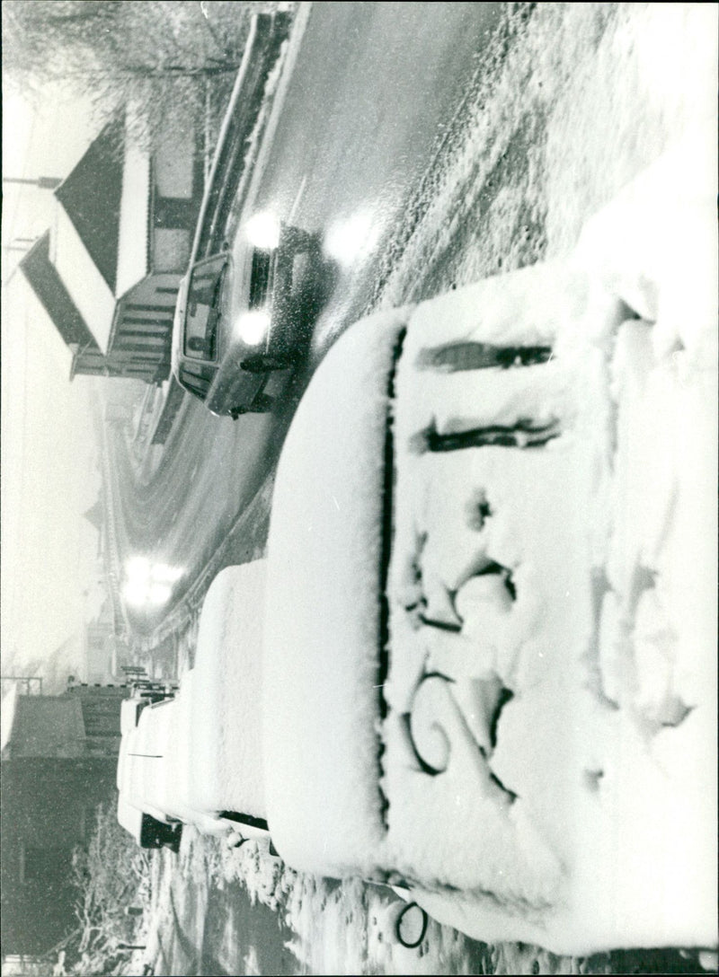 - Vintage Photograph