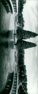 - Vintage Photograph