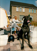 - Vintage Photograph