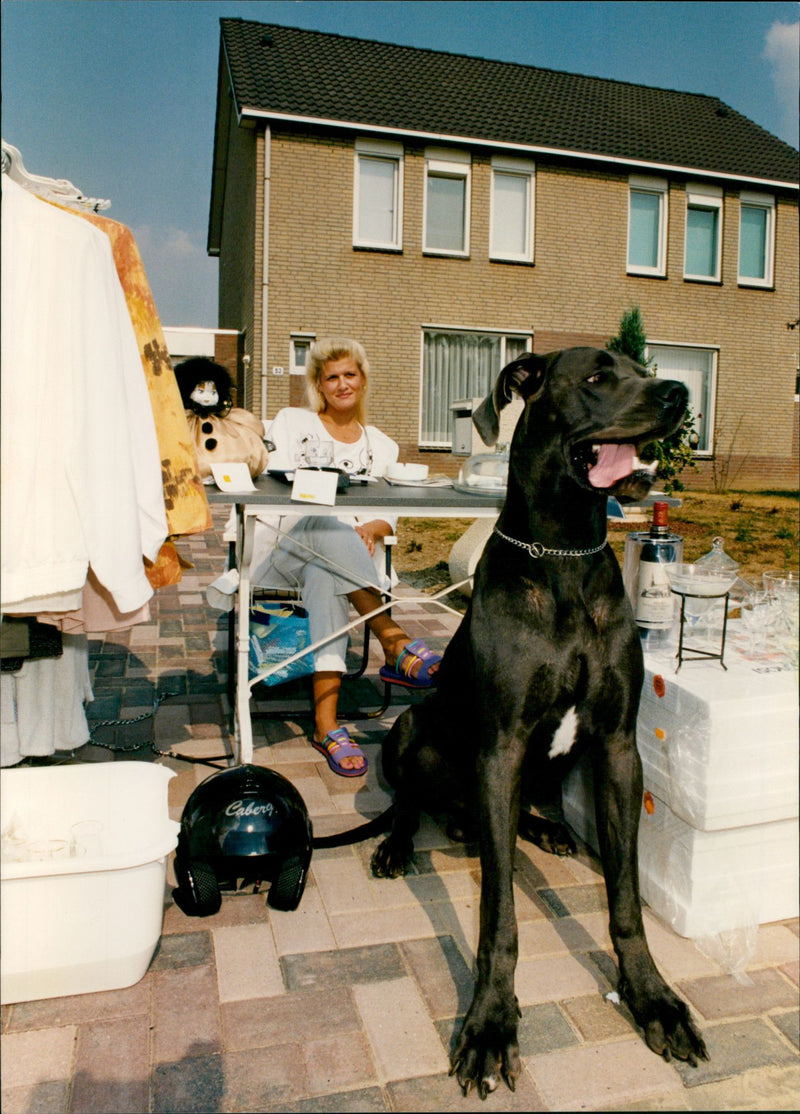 - Vintage Photograph