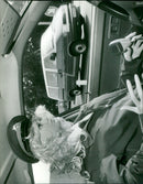 - Vintage Photograph