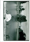 - Vintage Photograph