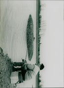 - Vintage Photograph