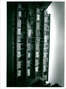 - Vintage Photograph