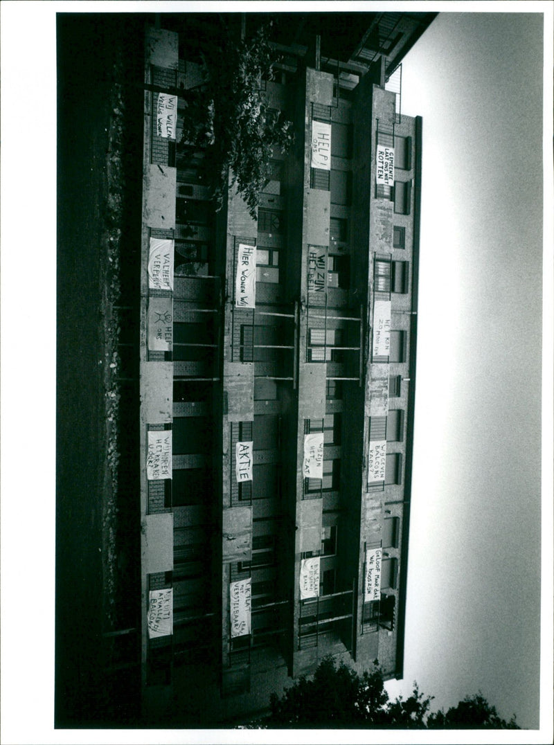 - Vintage Photograph