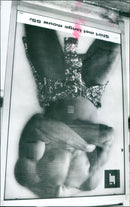 - Vintage Photograph