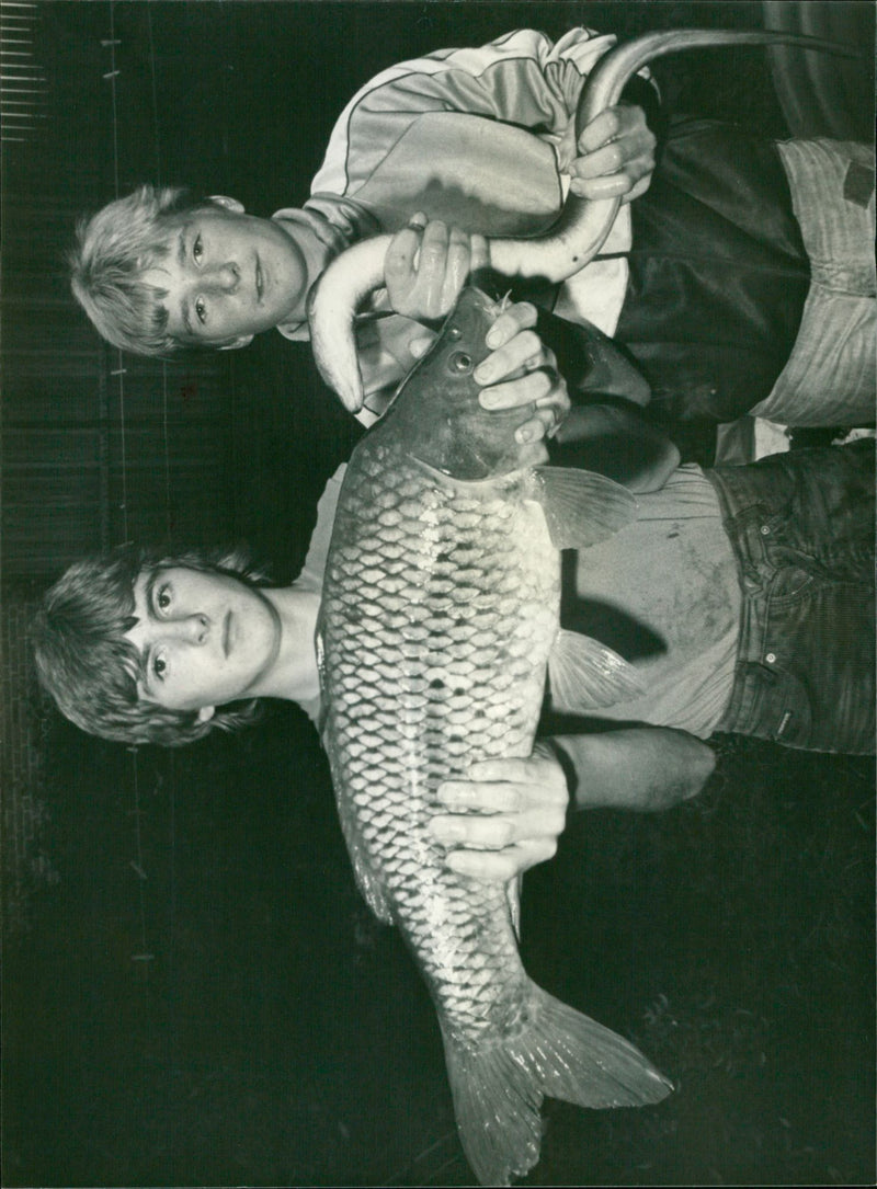 - Vintage Photograph