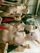 - Vintage Photograph