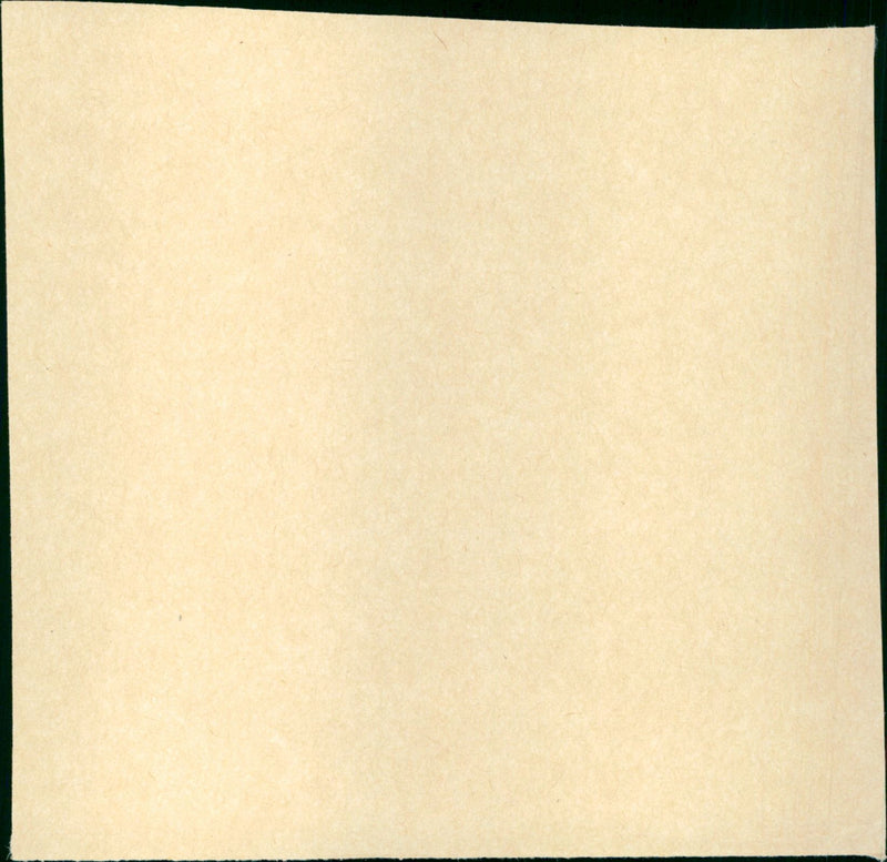 - Vintage Photograph